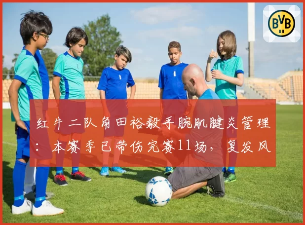 红牛二队角田裕毅手腕肌腱炎管理：本赛季已带伤完赛11场，复发风险达65%